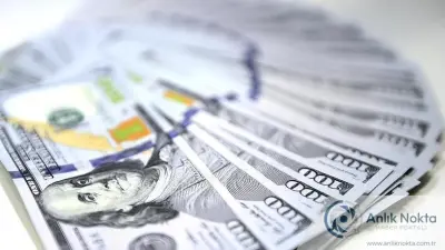2025'te Türkiye'ye 21,1 Milyar Dolarlık UDY Yatırımı: 475 Proje ve 47 Bin İstihdam Hedefi