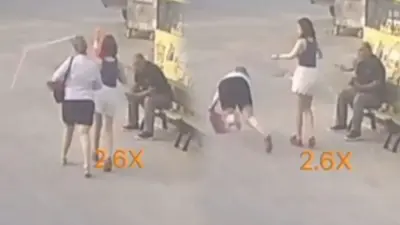 Adana'da Yolda Yürürken Başına Sineklik Düşen Kadın Yaralandı