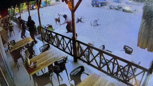 Afyonkarahisar Dazkırı'da köpek saldırısına uğrayan kadın