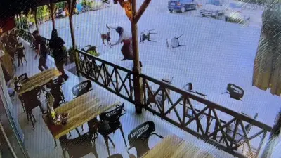 Afyonkarahisar'da Köpek Saldırısı: Yaralı Kadın Taburcu Edildi, Soruşturma Başlatıldı