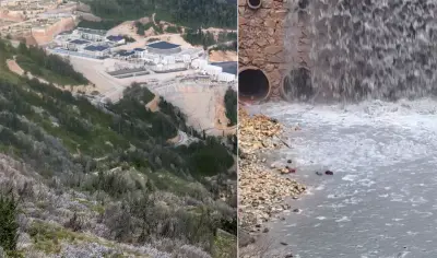 AKP'li Doğankent Belediyesi'nden Çevre Mücadelesi Veren Vatandaşa 115 Bin Lira Ceza: "Bizi Yıldıracağınızı mı Sanıyorsunuz?"