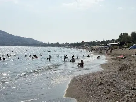 Bilim insanı Alanya kıyısında denizden örnek alırken