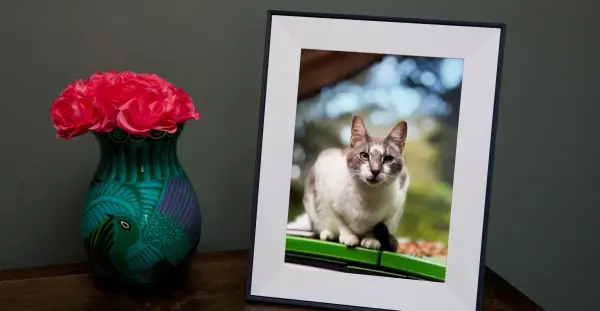 Aura Aspen dijital fotoğraf çerçevesi, üzerinde aile fotoğrafları gösterirken şık bir ev ortamında.