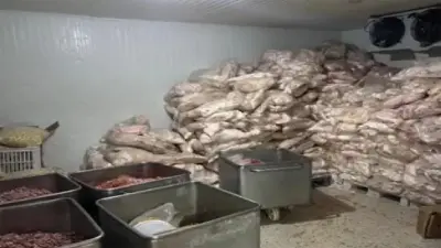 Ankara'da Büyük Gıda Operasyonu: 40 Ton Et ve 1,5 Ton Kaçak Zeytinyağı Ele Geçirildi
