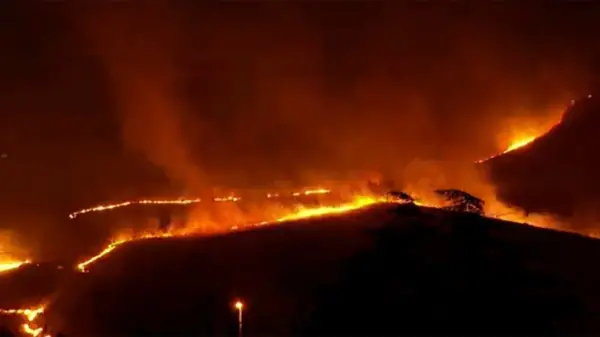 Ankara Mamak'ta Ağaçlık Alanda Çıkan Yangın
