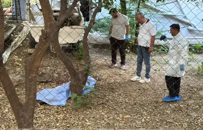 Antalya'da Apartman Bahçesinde Vahşet: Ufuk Kılıç Kesikler İçinde Ölü Bulundu
