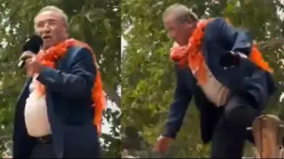 Antalya'da Festivalde Şok Anlar: Eski Belediye Başkanı Deveden Düştü, Damadı Son Anda Kurtardı
