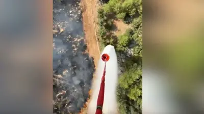 Antalya'da Orman Dışı Arazide Yangın: Ekiplerin Hızlı Müdahalesi Sürüyor