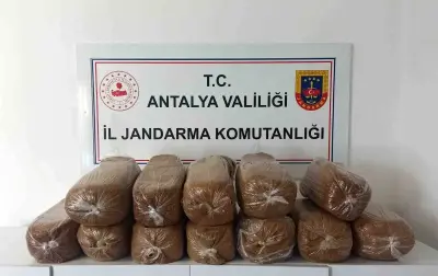 Antalya'da Üç İlçede Dev Kaçak Tütün Operasyonu: Yüzlerce Kilogram Tütün Ele Geçirildi