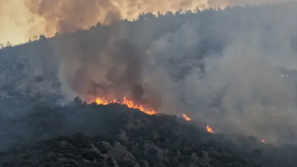 Antalya Kaş Üzümlü Mahallesi'nde devam eden orman yangınına müdahale