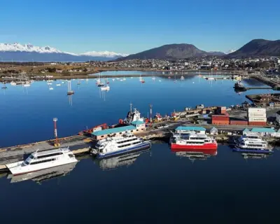 Arjantin'de Hantavirüs Paniği: Bilim İnsanları Salgının Kökenini Araştırıyor