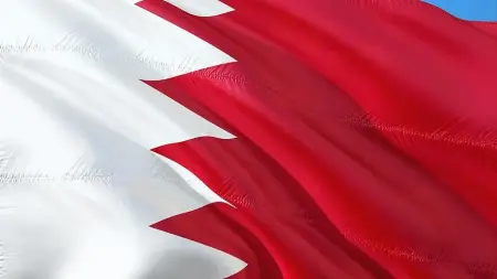 Bahreyn Kralı Hamad bin İsa Al Halife resmi bir toplantıda konuşma yaparken.