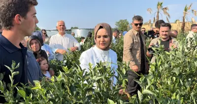 Bakan Göktaş Düzce'de Genç Girişimciliği ve Yaban Mersini Üretiminin Önemini Vurguladı