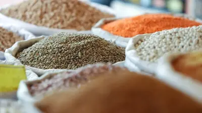 Bakan Yumaklı Duyurdu: TMO Hububat Alım Ödemeleri Çiftçilerin Hesaplarında
