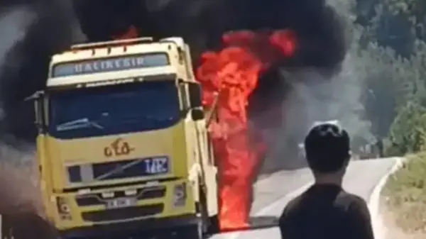 Balıkesir Sındırgı'daki Orman Yangınına Müdahale