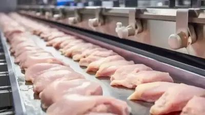 Beyaz Et Sektöründe Kritik Gelişme: 7 Şirketin Daha Kayyım Kararı Kaldırıldı