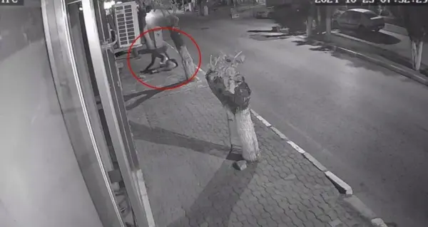 JASAT ekiplerinin Bolu'da kablo hırsızlığı şüphelilerini yakalaması