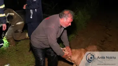 Bursa'da Dere Taştı: Çiftlik Sahibi ve Köpeği İtfaiye Tarafından Kurtarıldı