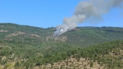 Bursa Büyükorhan Piribeyler Mahallesi'nde orman yangınına müdahale eden ekipler
