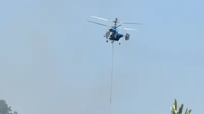 Çanakkale Ayvacık'ta Zeytinlik Yangını: Ekipler Havadan ve Karadan Müdahale Ediyor