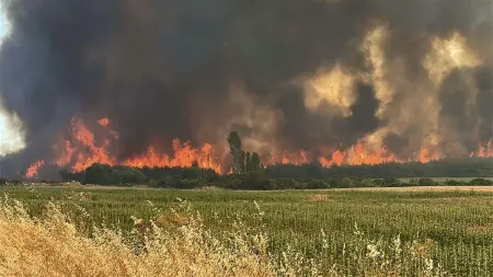 Çanakkale'de orman yangını riskine karşı alınan önlemler