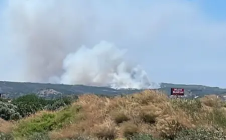 Çeşme Alaçatı'da çıkan yangına müdahale eden ekipler