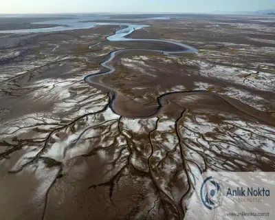 Colorado Nehri İçin Kritik Su Tasarrufu Planı: 3 Eyaletten Ortak Adım
