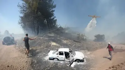Dört İlde Orman Yangını Alarmı: Ekipler Seferber Oldu, Alevler Kontrol Altında