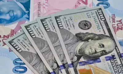 Döviz Kurlarında Yeni Rekor: Dolar/TL 48,32'ye Yükseldi, Euro Şaha Kalktı
