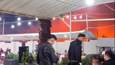 Düğünde Havai Fişekler Zeytin Bahçesini Ateşe Verdi, Davetliler Eğlenmeye Devam Etti