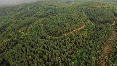 Edirne'de Orman Yangını Riskine Karşı Kapsamlı Giriş Yasağı