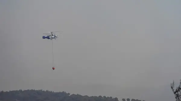 Edremit Narlı Mahallesi'ndeki orman yangınına müdahale eden ekipler
