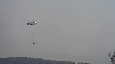 Edremit Narlı Mahallesi'ndeki orman yangınına müdahale eden ekipler