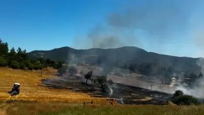 Ege ve Akdeniz'de Yangınlarla Mücadele: Balıkesir, Manisa ve Antalya'da Kritik Müdahale