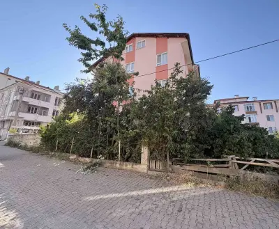 Emekli Öğretmen Ihlamur Toplarken Ağaçtan Düştü: Tosya'da Yaralı Kurtuldu