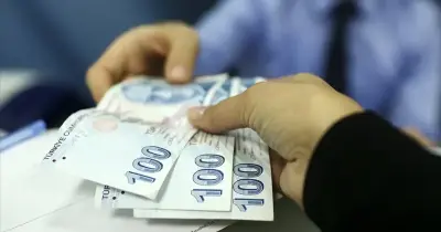 Nisan Ayı Doğum Yardımı Ödemeleri Hesaplara Geçti: İşte Yeni Destek Tutarları ve Sorgulama Yöntemi