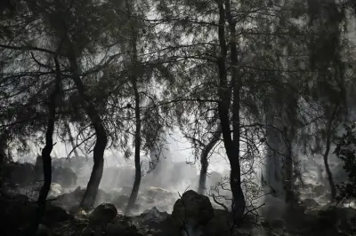 Fethiye'de Orman Yangını Kontrol Altına Alındı