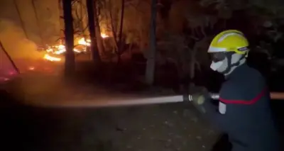 Fransa'yı Saran Orman Yangını: Fontainebleau'da 2 Bin Dönüm Kül Oldu, Ulaşım Durma Noktasına Geldi