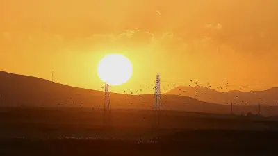 Göçmen Kuşların Hayat Rotası: Türkiye Elektrik Şebekelerinde Koruma Kalkanı
