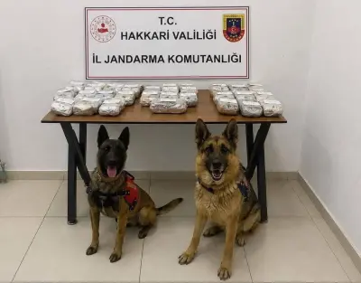 Hakkari'de Nefes Kesen Operasyon: 21 Kilo 650 Gram Toz Esrar Ele Geçirildi, 2 Şüpheli Yakalandı