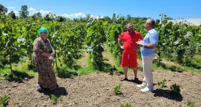 Hatay'da Büyük Uyuşturucu Operasyonu: 8 Kilo 900 Gram Esrar Ele Geçirildi, 4 Kişi Tutuklandı