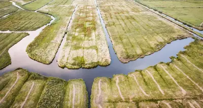 Hollanda'da Kuraklık Alarmı: Ulusal Su Kıtlığı İlan Edildi