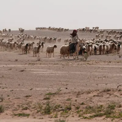 İsrail'in Irak Çölündeki Gizli Üsleri Ortaya Çıktı