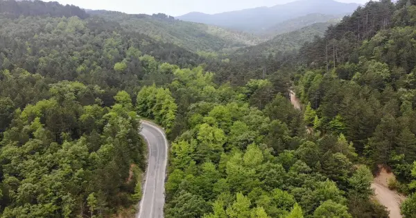 İstanbul orman giriş yasağı duyurusu