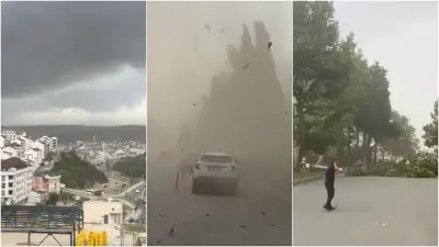 İstanbul'da Şiddetli Fırtına Hayatı Felç Etti: Ağaçlar Devrildi, Çatılar Uçtu