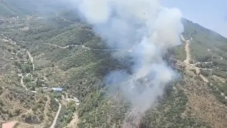 İzmir ve Kütahya'daki orman yangınlarına havadan ve karadan müdahale eden ekipler