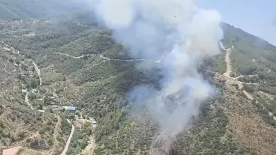İzmir ve Kütahya'da Orman Yangınları: Ekiplerin Havadan ve Karadan Müdahalesi Sürüyor