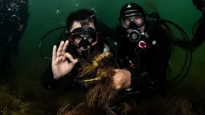 İzmit Körfezi'nde Ekolojik Diriliş: Bakan Kurum Su Altından İnceledi