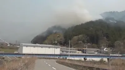 Japonya'da 11 Gün Süren Orman Yangını Felaketi Kontrol Altında: Büyük Hasar Ortaya Çıktı