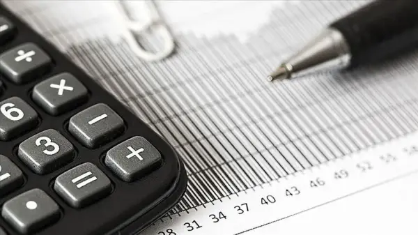 Hazine ve Maliye Bakanlığı'nda bütçe raporlarını inceleyen bir yetkili